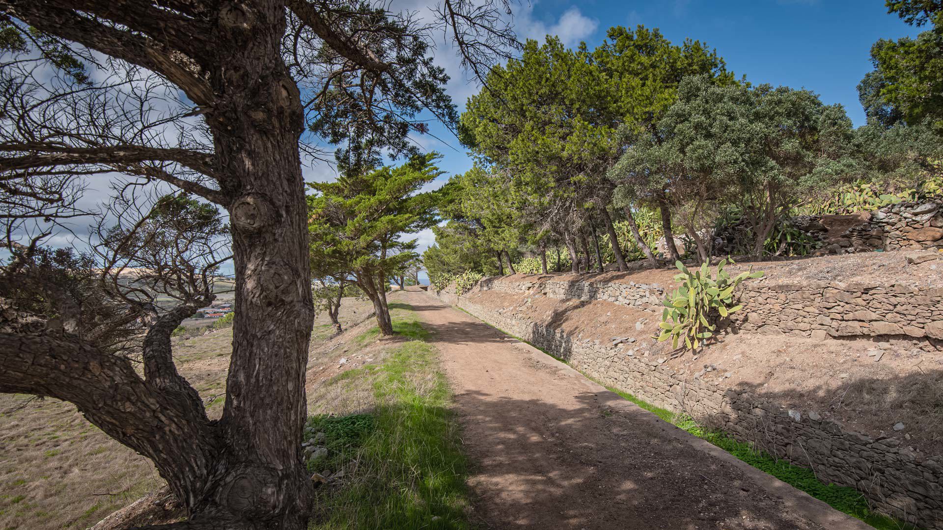 Levada do Pico do Castelo 5