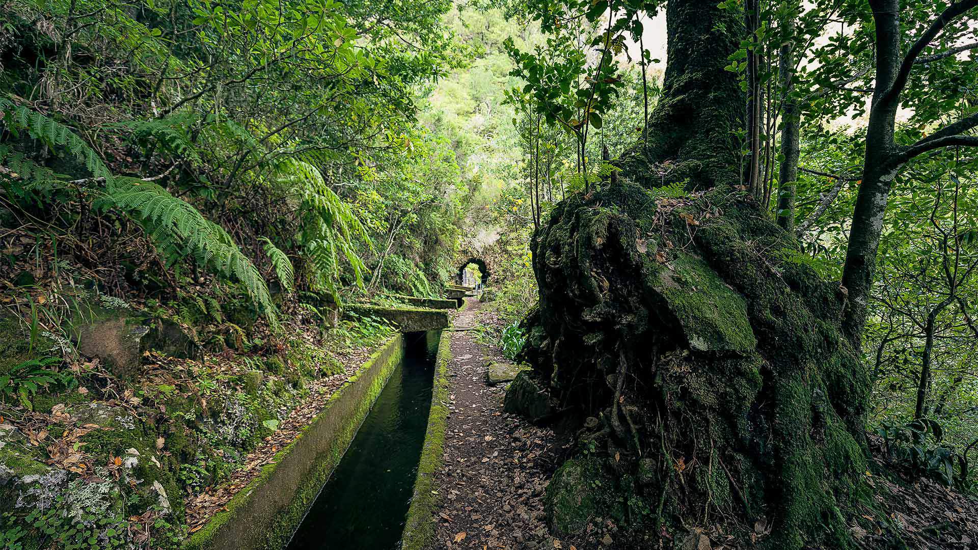 caminho do pináculo e folhadal 2