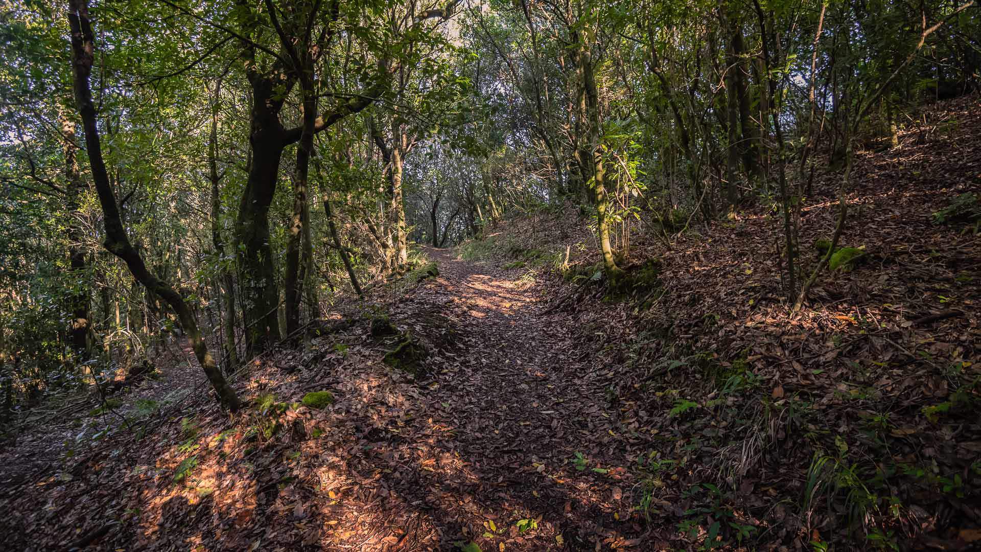 vereda do chão dos louros 10